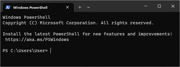 Launching PowerShell in Windows